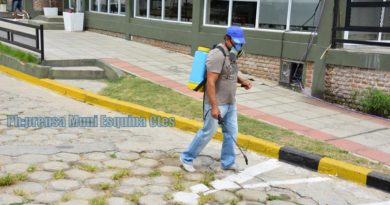 Control químico de maleza y hierbas en los adoquines de la Av. Juan D. Perón Control químico de maleza y hierbas en los adoquines de la Av. Juan D. Perón