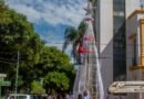 Comenzamos a armar el Árbol de Navidad frente al Palacio Municipal