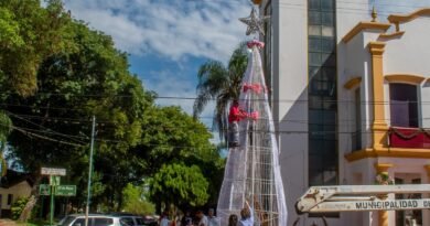 Comenzamos a armar el Árbol de Navidad frente al Palacio Municipal