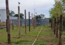 Avances en el Futuro Vivero Municipal