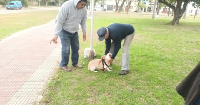 Continuamos con la Campaña de Vacunación Antirrábica para Mascotas