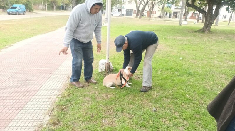 Continuamos con la Campaña de Vacunación Antirrábica para Mascotas