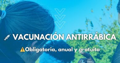 Vacunación Antirrábica Gratuita