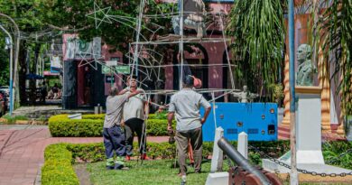 Armado del Tradicional Árbol Navideño