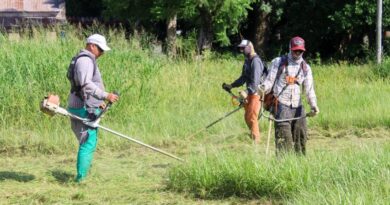 Mantenimiento de Espacios Verdes