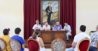 Conformación de la COMUCAE