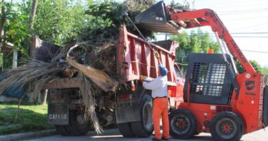 Más herramientas, más limpieza Más herramientas, más limpieza