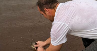 Suelta de Alevines de Pacú Suelta de Alevines de Pacú