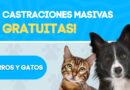 ¡Arrancamos con las Castraciones Gratuitas!