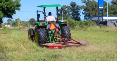 Desmalezamiento en Curva Norte y en diferentes sectores de la ciudad