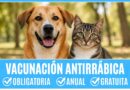 Campaña de Vacunación Antirrábica Gratuita, obligatoria y anual para perros y gatos