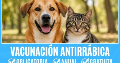 Campaña de Vacunación Antirrábica Gratuita, obligatoria y anual para perros y gatos