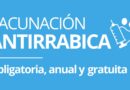 ¡Cuidemos juntos a nuestras mascotas!