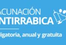 ¡Cuidemos juntos a nuestras mascotas!