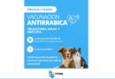 Vacunación Antirrábica