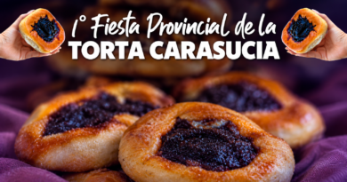 1° Fiesta Provincial de la Torta Carasucia 1° Fiesta Provincial de la Torta Carasucia